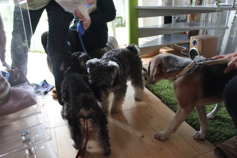 第3回 こまいぬ教室♪