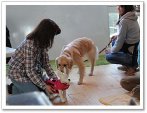 アフロディーテセミナー風景